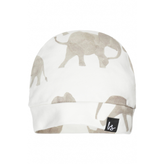 Little elephant mutsje